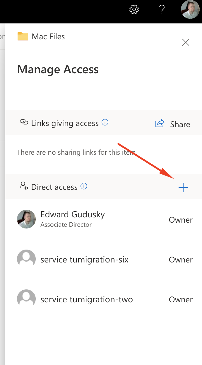 onedrive-webgrantaccessplus.png