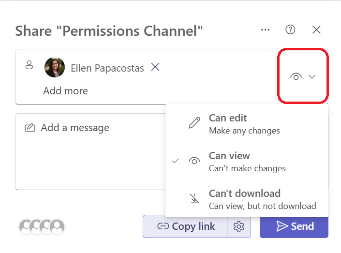 Team File Share Option.png