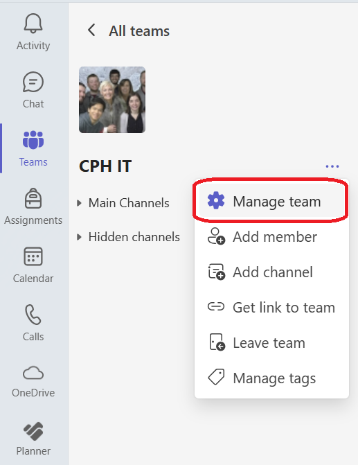 Team Manage Team.png